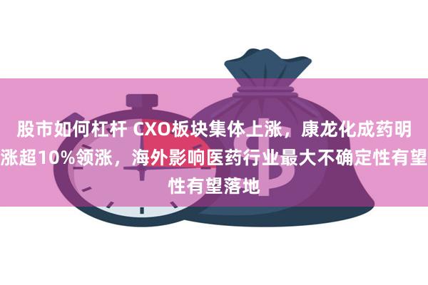 股市如何杠杆 CXO板块集体上涨，康龙化成药明康德涨超10%领涨，海外影响医药行业最大不确定性有望落地