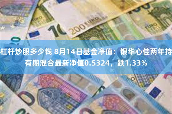 杠杆炒股多少钱 8月14日基金净值：银华心佳两年持有期混合最新净值0.5324，跌1.33%