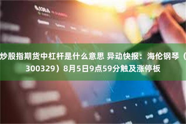 炒股指期货中杠杆是什么意思 异动快报：海伦钢琴（300329）8月5日9点59分触及涨停板