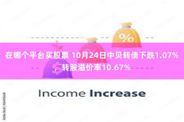 在哪个平台买股票 10月24日中贝转债下跌1.07%，转股溢价率10.67%