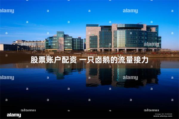 股票账户配资 一只卤鹅的流量接力